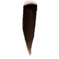 turkey feather
